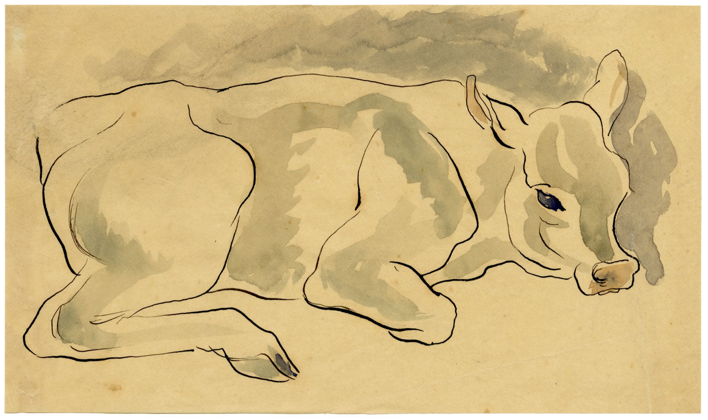 Resting Cow – Original early 20th-century watercolour painting