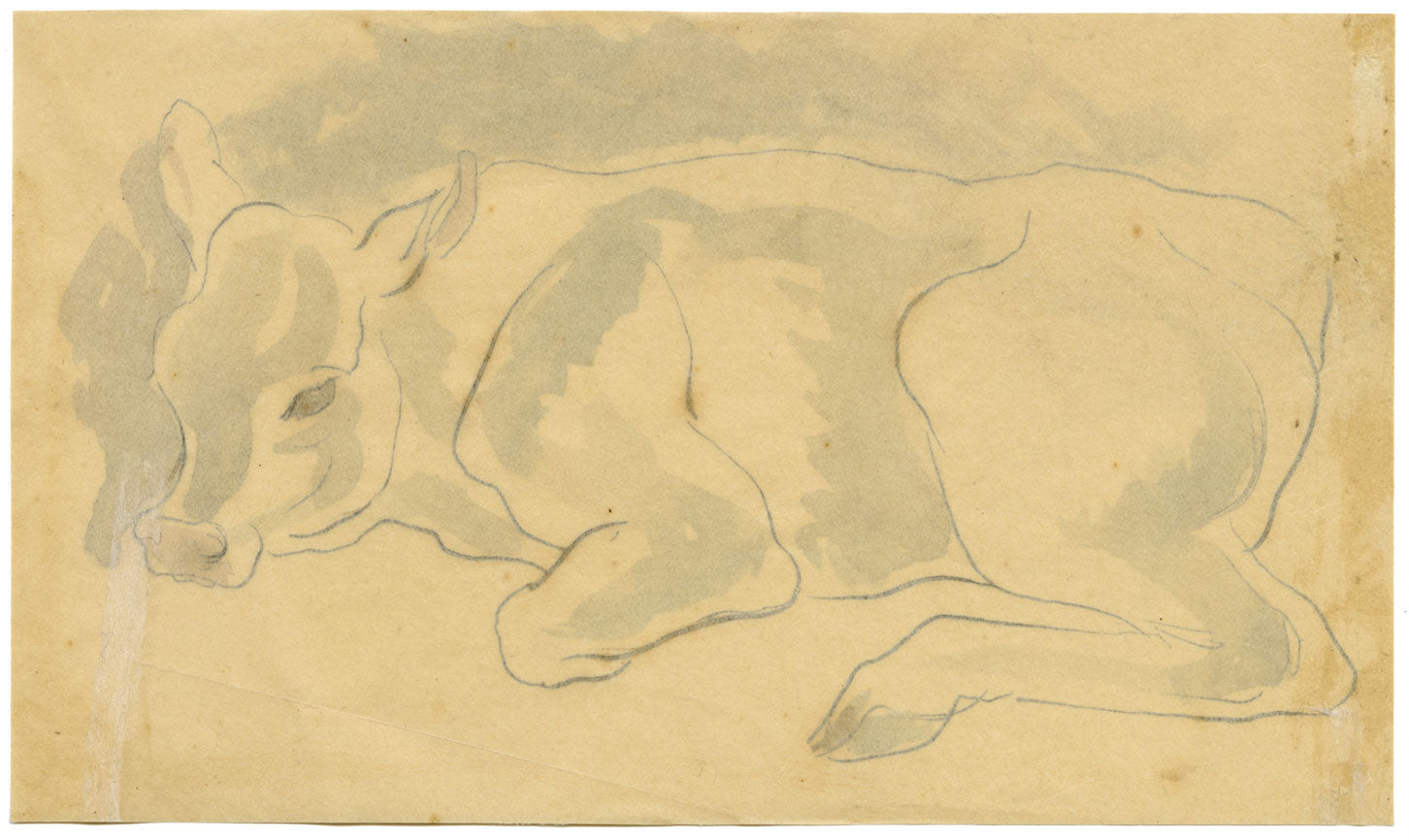 Resting Cow – Original early 20th-century watercolour painting