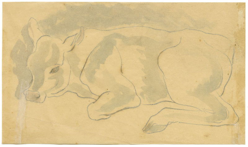Resting Cow – Original early 20th-century watercolour painting