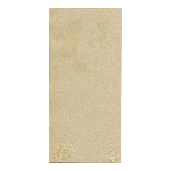 Salice strisciante (Salix repens), Verwood, Dorset – acquerello del 1912