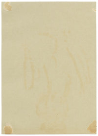 Silk Tassel Bush Flower, Verwood, Dorset – 1913 watercolour painting