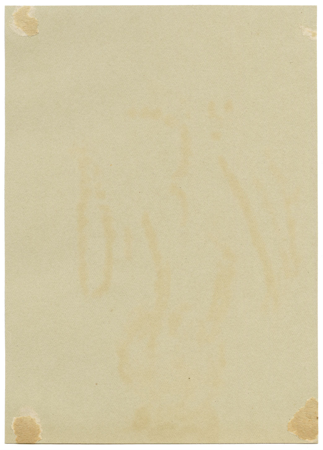 Silk Tassel Bush Flower, Verwood, Dorset – 1913 watercolour painting