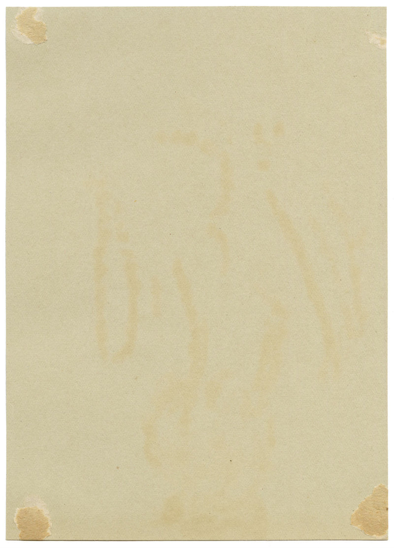 Silk Tassel Bush Flower, Verwood, Dorset – 1913 watercolour painting