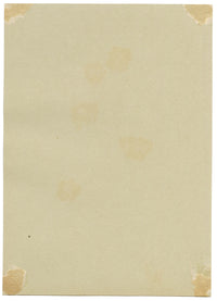 Golden Spiraea Flower, Verwood, Dorset – Original 1913 watercolour painting