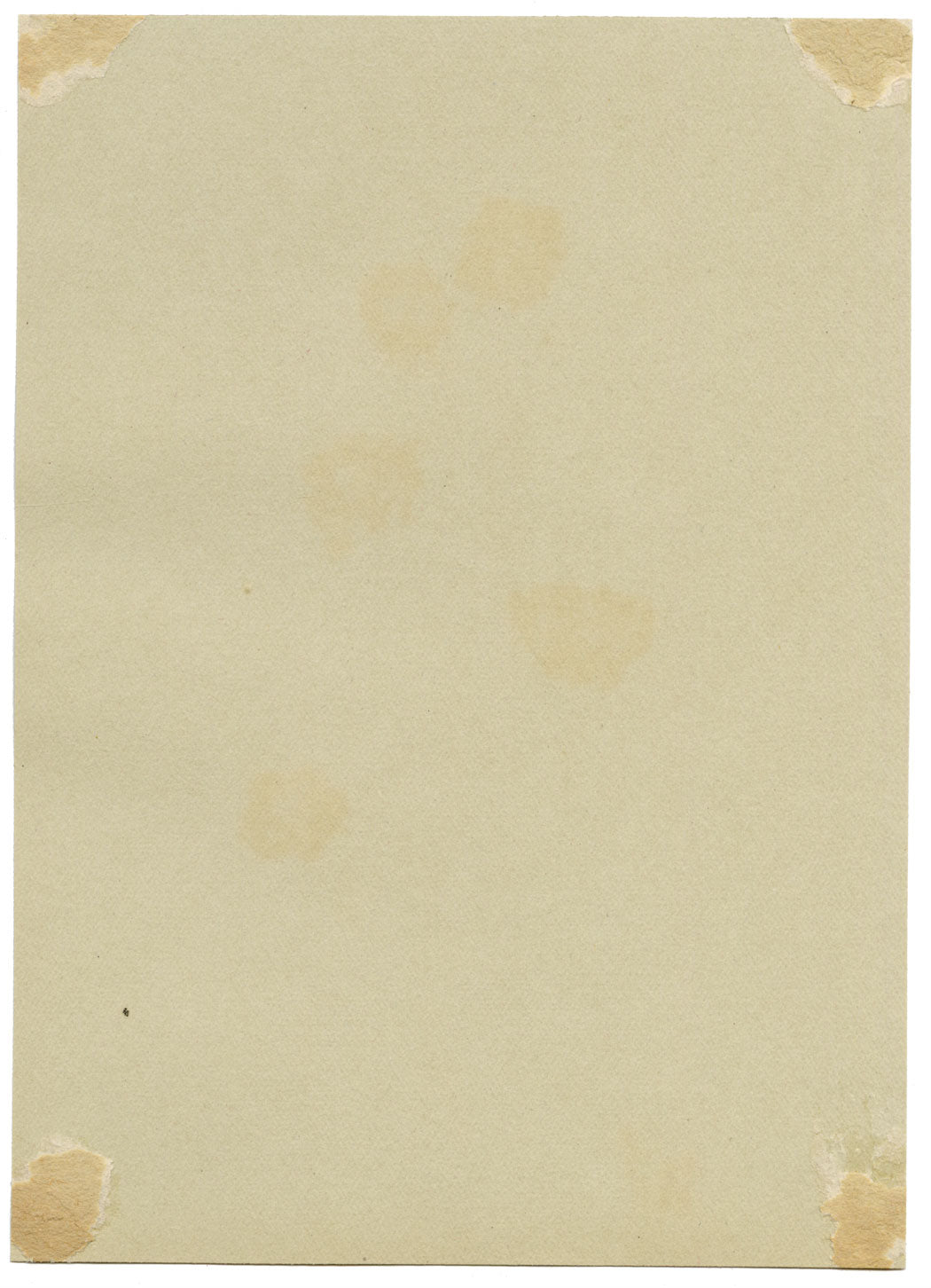 Golden Spiraea Flower, Verwood, Dorset – Original 1913 watercolour painting