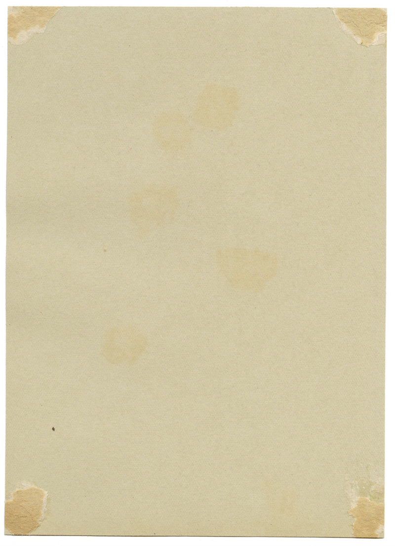 Golden Spiraea Flower, Verwood, Dorset – Original 1913 watercolour painting