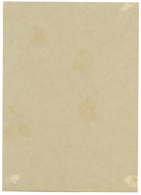 Water Mint (Mentha aquatica) Flower, Verwood, Dorset – 1915 watercolour painting