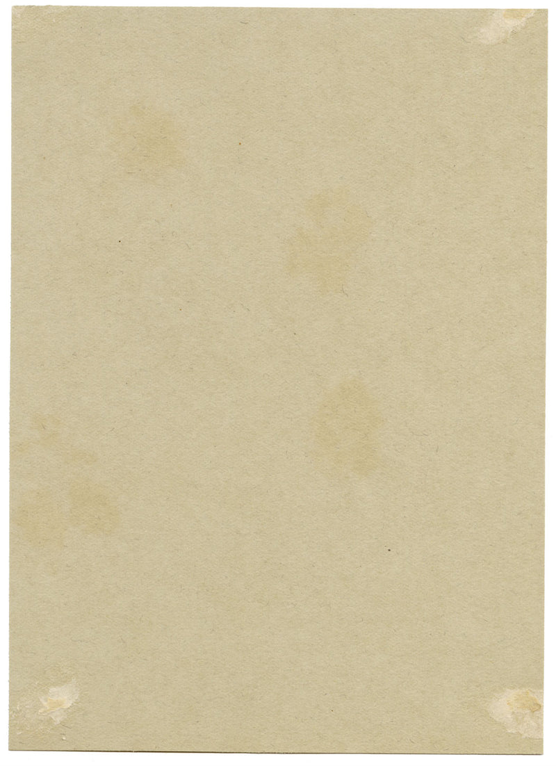 Water Mint (Mentha aquatica) Flower, Verwood, Dorset – 1915 watercolour painting