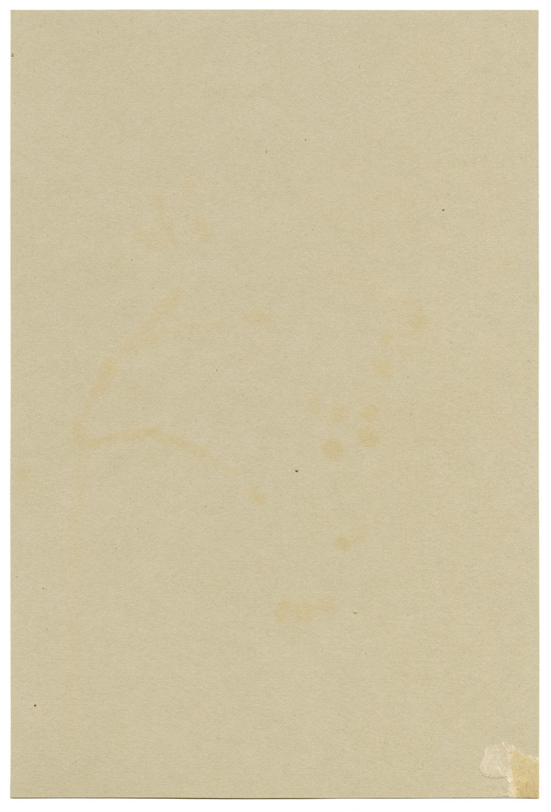 Fiore di Skimmia giapponese, Verwood, Dorset – acquerello del 1914