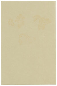 Pink Spirea Flower, Verwood, Dorset – Original 1913 watercolour painting