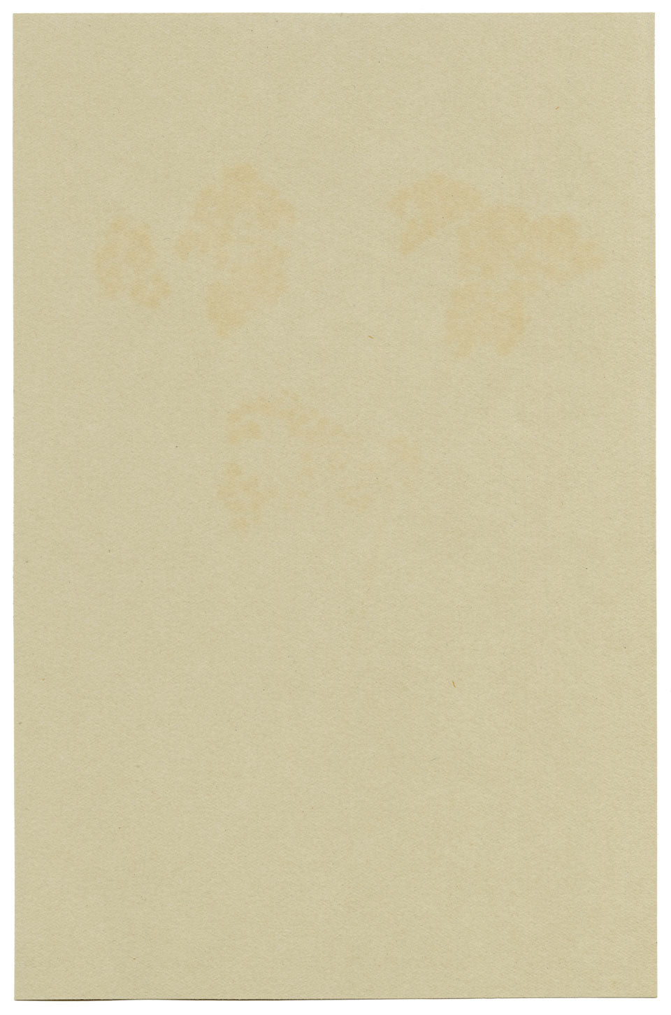 Pink Spirea Flower, Verwood, Dorset – Original 1913 watercolour painting