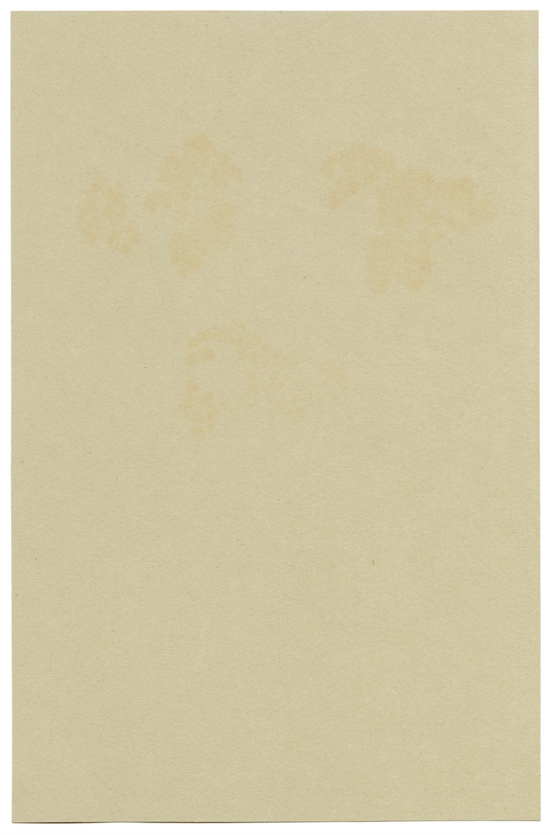 Pink Spirea Flower, Verwood, Dorset – Original 1913 watercolour painting