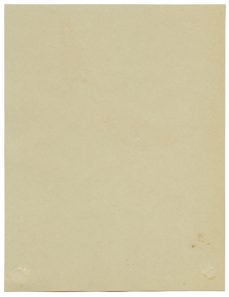 Speedwell Flower, Hesketh Crescent, Torquay, Devon – 1912 watercolour painting