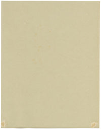 Pheasant Berry Flower, Verwood, Dorset – 1913 watercolour painting