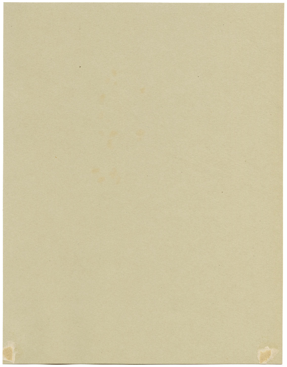 Pheasant Berry Flower, Verwood, Dorset – 1913 watercolour painting