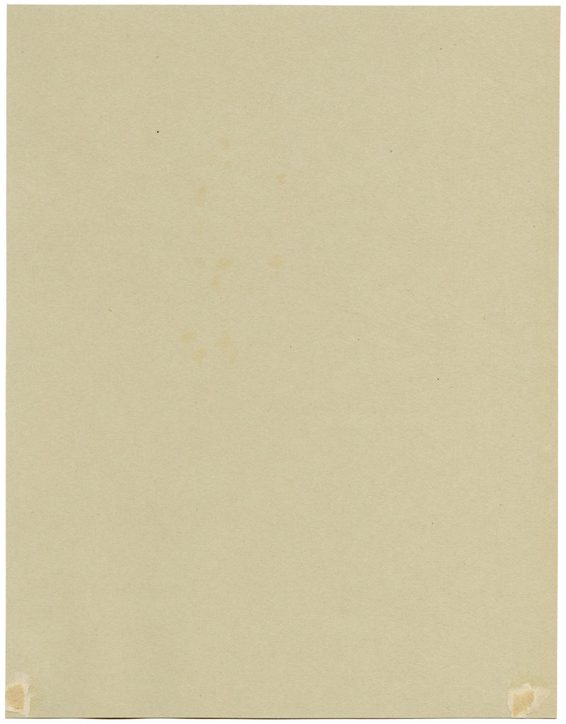 Pheasant Berry Flower, Verwood, Dorset – 1913 watercolour painting