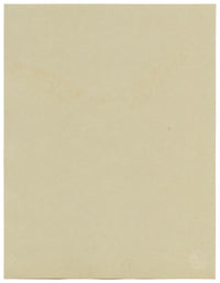 White Speedwell Flower, Meadfoot Woods, Torquay Devon –1912 watercolour painting