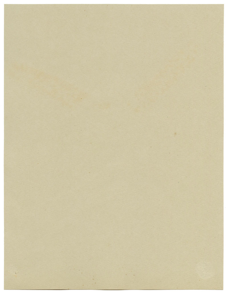 White Speedwell Flower, Meadfoot Woods, Torquay Devon –1912 watercolour painting