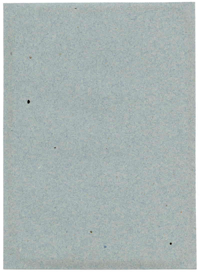 William J. Tipping, Ritratto di Cristoforo Colombo – disegno a grafite del 1856