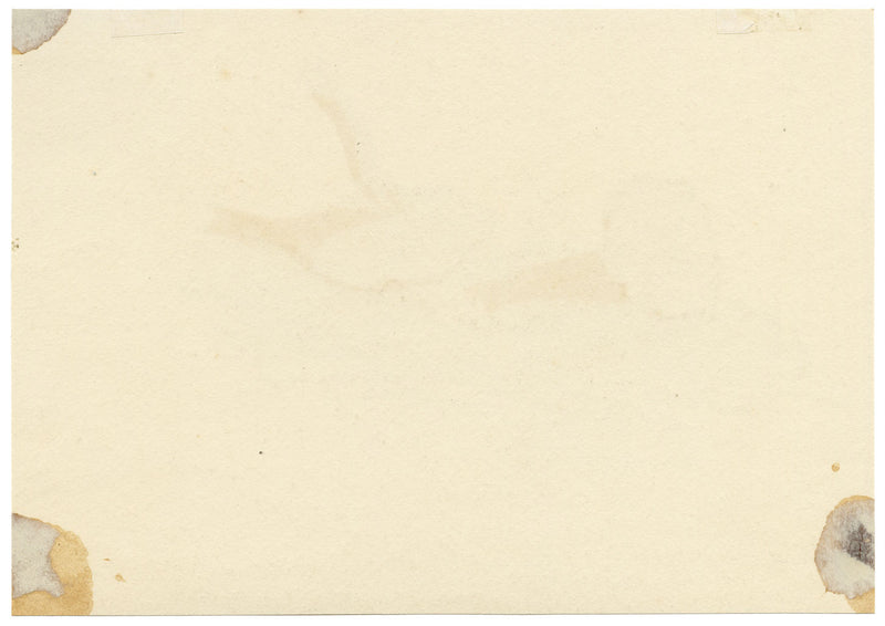 ERP, Hongo Agaricus coccineus – Acuarela original de 1858