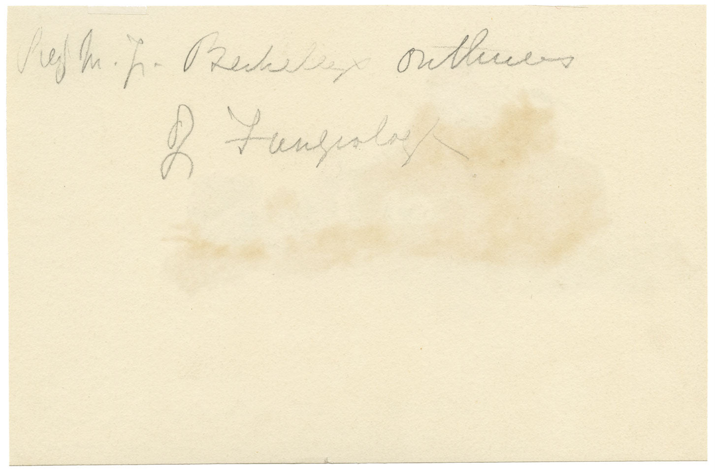 ERP, Fungo della Coppa dell'Elfo Scarlatto (Peziza austriaca) – acquerello del 1859