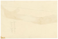 E.R.P., Fungus Yellow Brain (Tremella mesenterica) – 1859 watercolour painting