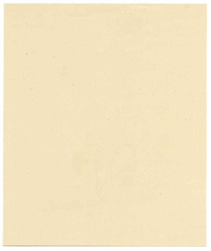 E.R.P., Mushroom Agaricus caulicinalis – Original 1860 watercolour painting