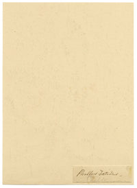 E.R.P., Mushroom Stinkhorn (Phallus impudicus) – 1859 watercolour painting