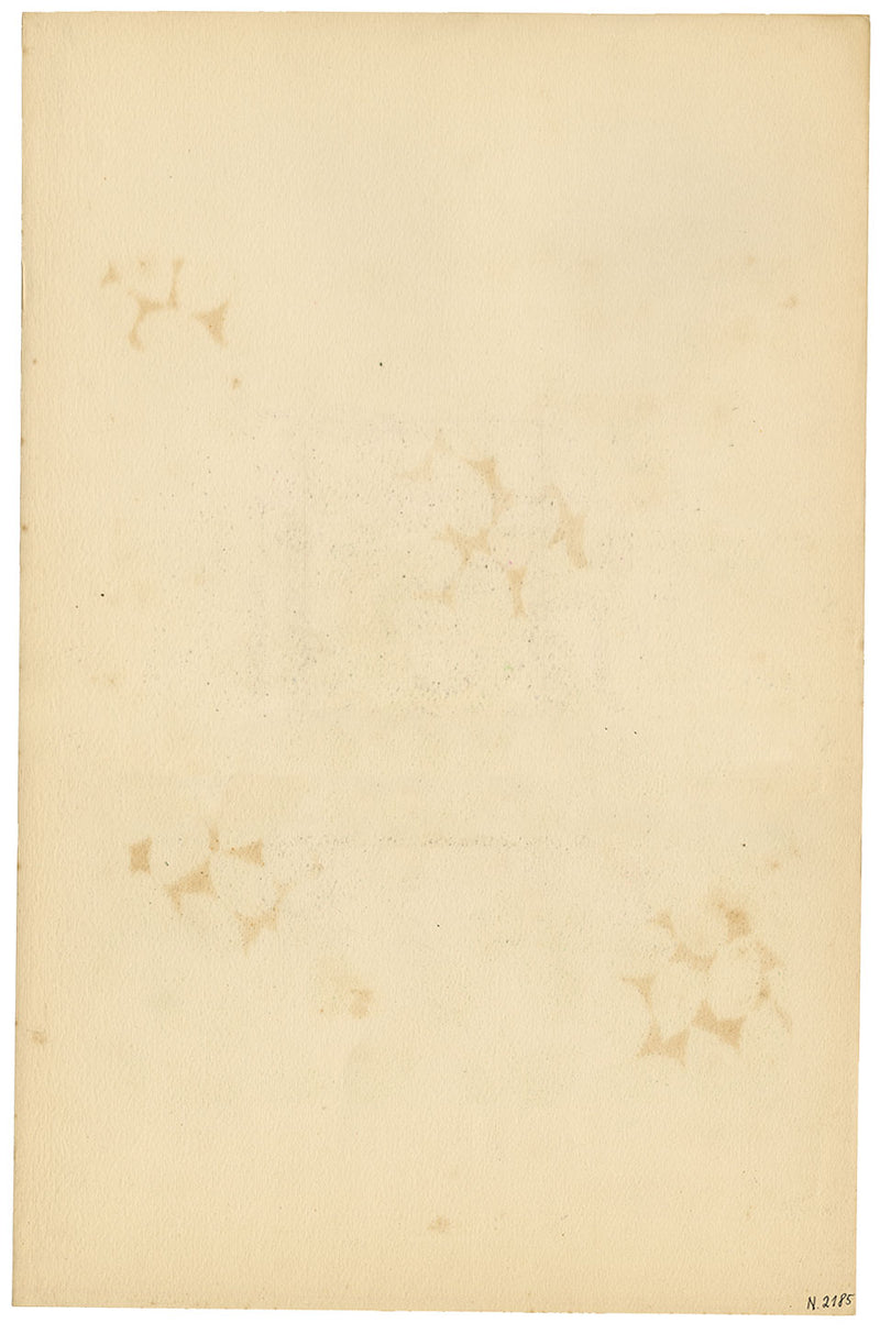 Textile Design, Atelier Testemale Paris: Orange Stitched Fruit –c.1960s painting