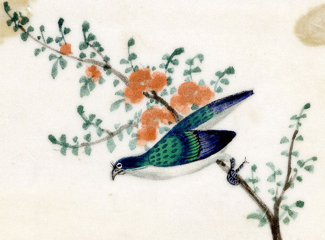 Antique 19th-century Chinese Pith Painting – Flycatcher Bird on Flowering Branch