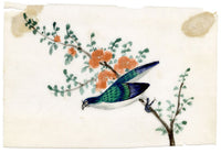 Antique 19th-century Chinese Pith Painting – Flycatcher Bird on Flowering Branch