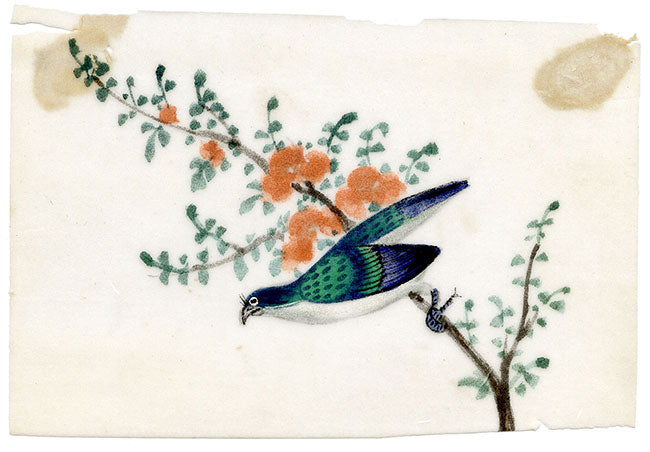 Antique 19th-century Chinese Pith Painting – Flycatcher Bird on Flowering Branch