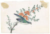 Antique 19th-century Chinese Pith Painting – Flycatcher Bird on Flowering Branch