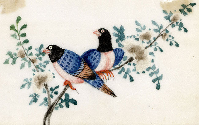 Antique 19th-century Chinese Pith Painting – Blue Magpie Birds on Flower Branch