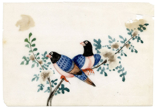 Dipinto antico cinese del XIX secolo – Gazza blu su ramo di fiori