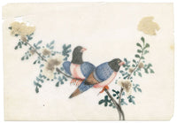 Dipinto antico cinese del XIX secolo – Gazza blu su ramo di fiori