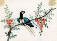 Antique 19th-century Chinese Pith Painting–Paradise Bird on Orange Flower Branch