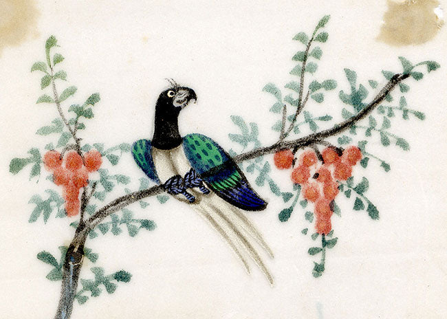 Antique 19th-century Chinese Pith Painting–Paradise Bird on Orange Flower Branch