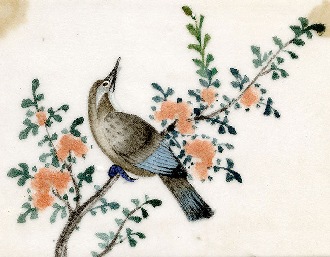 Antique 19th-century Chinese Pith Painting – Flycatcher Bird on Flowering Branch