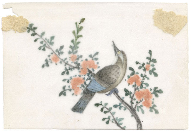 Antique 19th-century Chinese Pith Painting – Flycatcher Bird on Flowering Branch
