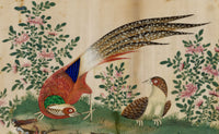 Antique 19th-century Chinese Pith Painting – Golden Pheasant Bird Pair