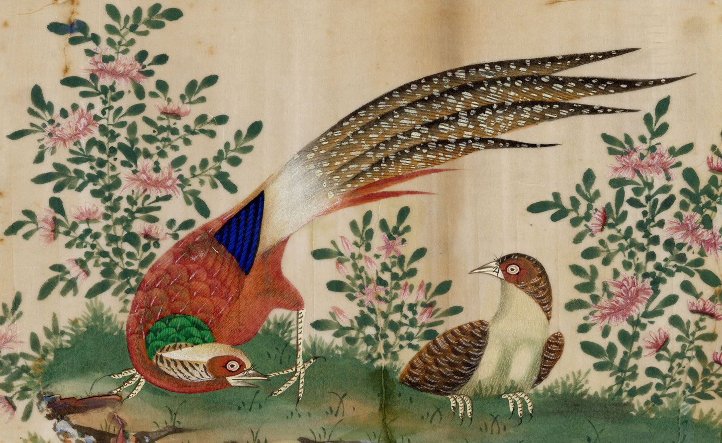 Antique 19th-century Chinese Pith Painting – Golden Pheasant Bird Pair