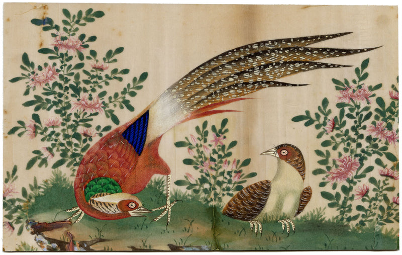 Dipinto antico cinese del XIX secolo – Coppia di fagiani dorati