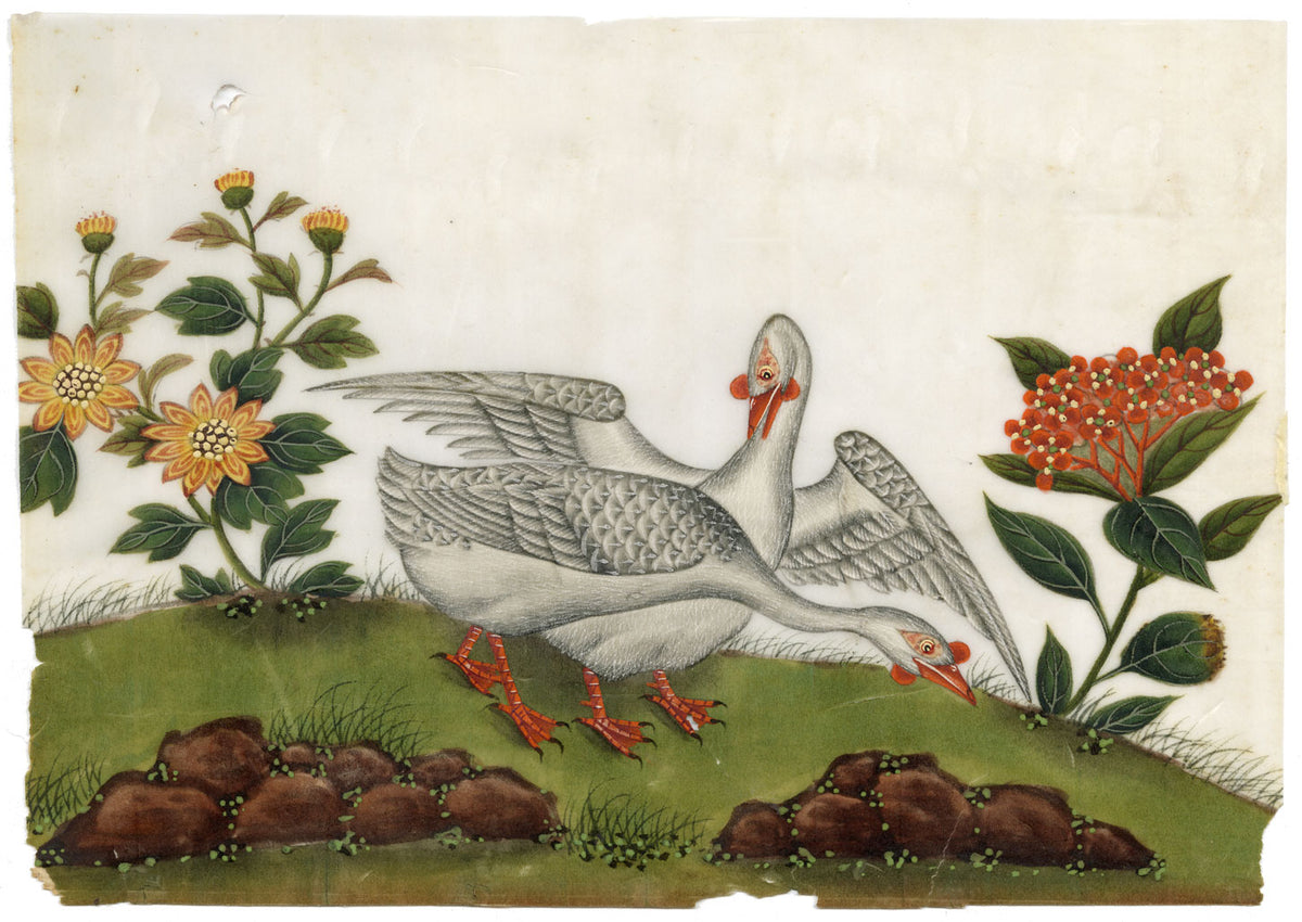 Antico dipinto cinese del XIX secolo – Coppia di oche cinesi