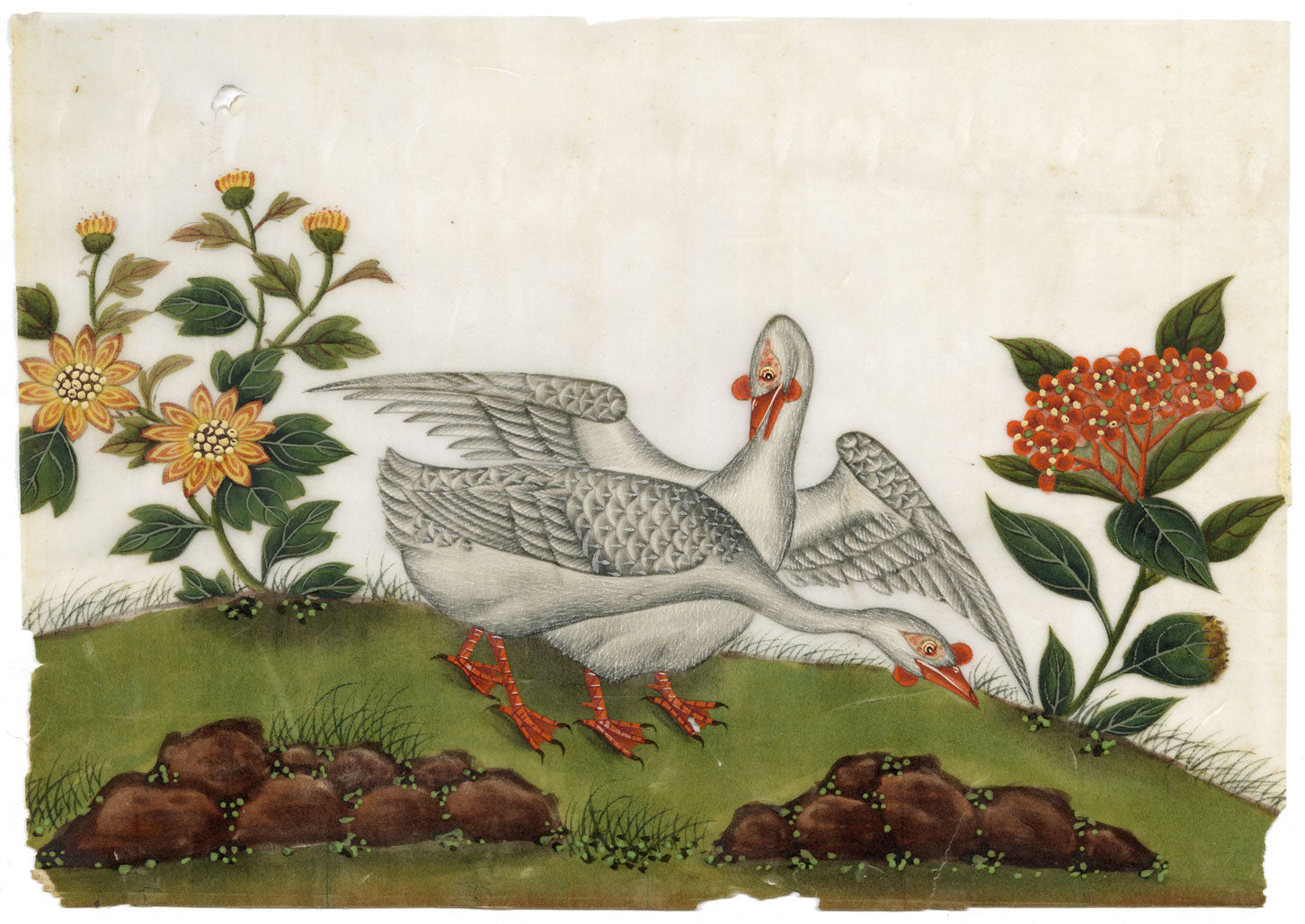 Antico dipinto cinese del XIX secolo – Coppia di oche cinesi