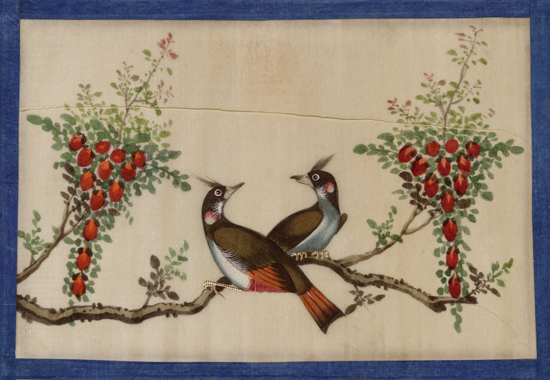 Antique 19th-century Chinese Pith Painting – Bulbul Bird Pair on Flower Branch