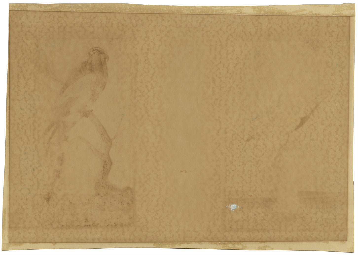 Antique 19th-century Chinese Pith Painting – Bulbul Bird Pair on Flower Branch