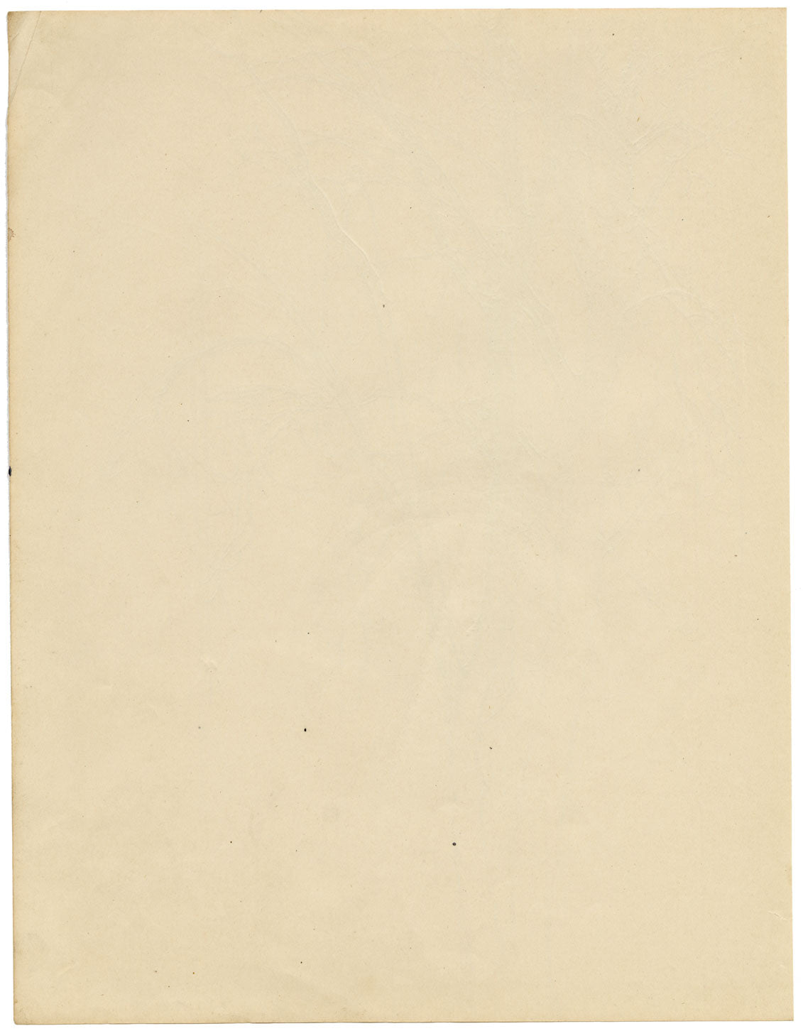 Eleanor Hughes RI, Tree Study – Original 1920 graphite drawing