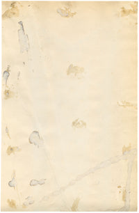 Antique Lyon Silk Design by Combier – Block Printed by Brunet-Lecomte c.1908