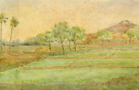 Andrea Lucey, Rice Fields, Kashmir, India – Original c.1909 watercolour painting